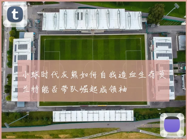 小球时代灰熊如何自我造血生存莫兰特能否带队崛起成领袖